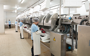 Kito production facilities
